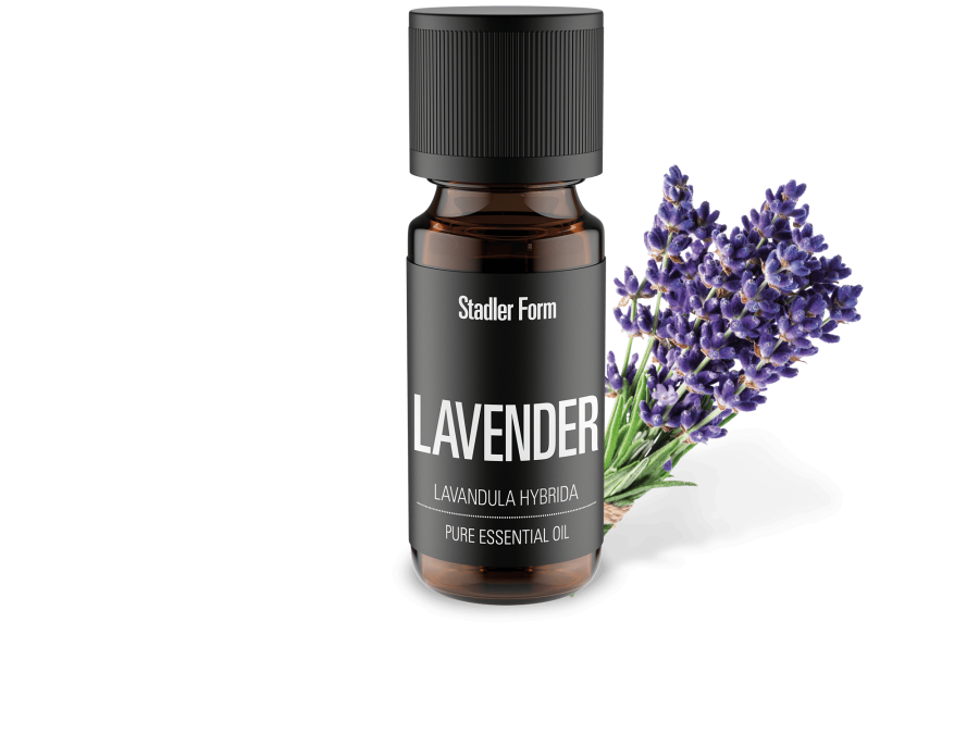Essential oil Lavender